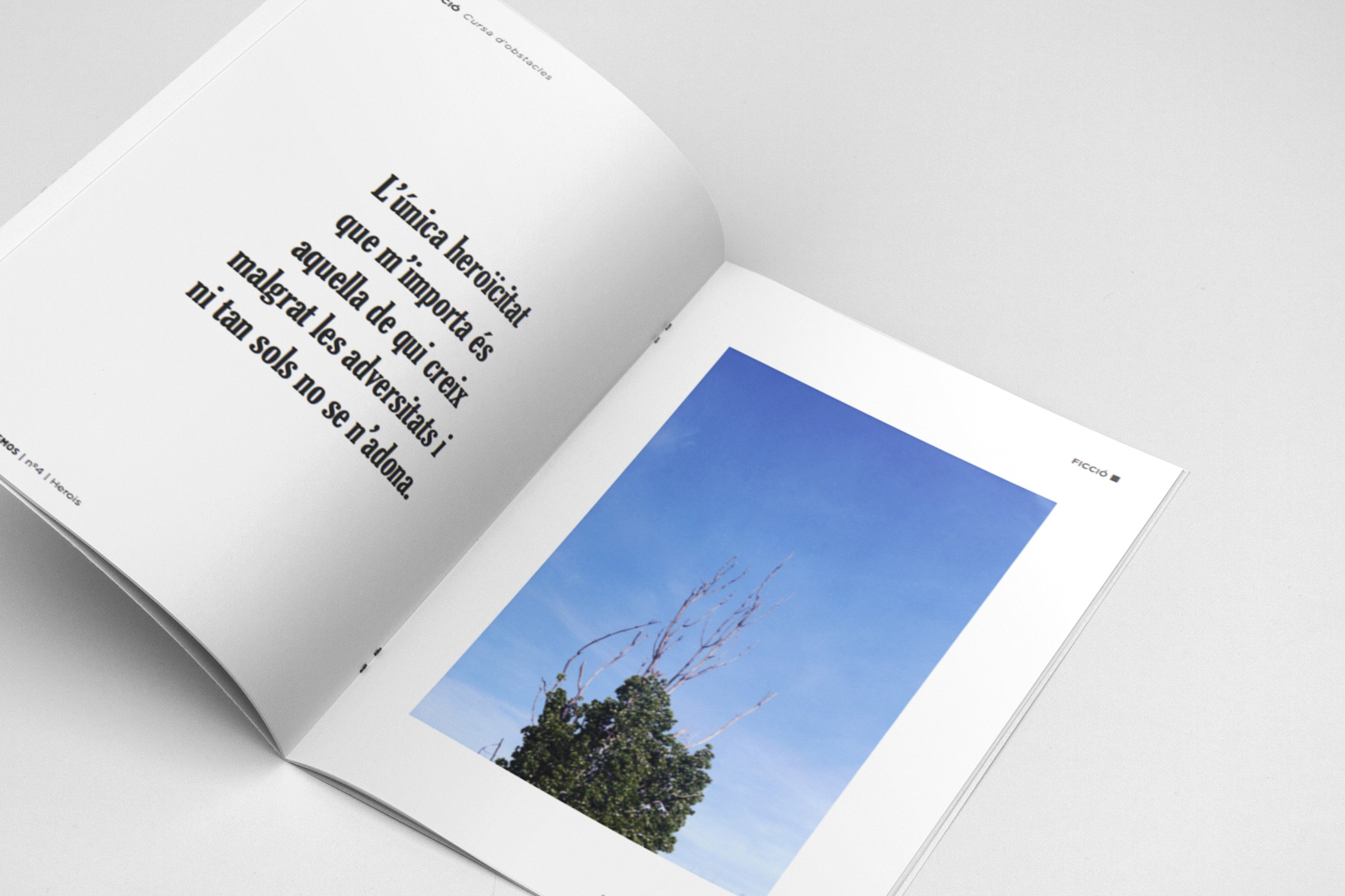 Revista Microcosmos - Antònia Monroig